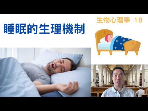 生物心理學18: #睡眠的生理機制 #睡眠階段 #退黑激素 #補眠 #remsleep