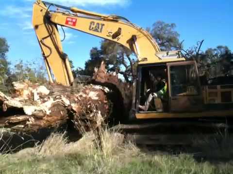 Caterpillar excavator lifting 12000 lbs  tree