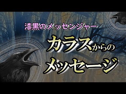 【サイン】怖がらないで！カラスは何かを伝えたい｜世界中の神話が物語るカラスの存在とは？【crow】