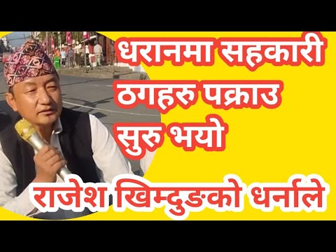 राजेश खिम्दुङको धर्नाले सहकारी ठगहरु धरानमा पक्राउ पर्न सुरु भयो || sahakari || #nepalnews