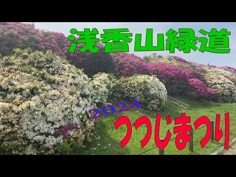 浅香山緑道つつじまつり (2024.04.28)