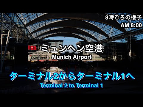 [August 2024] Munich Airport Terminal 2 to Area A of Terminal 1