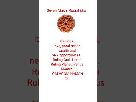 Seven Mukhi Rudraksha #shorts #ytshorts #rudraksha