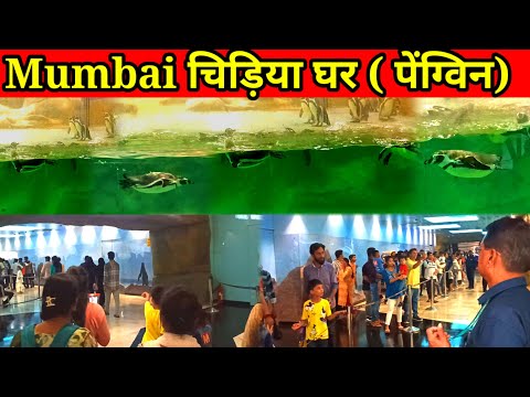 Mumbai zoo | चिड़िया घर | रानी बाग बायखला | Byculla rani bagh | Mumbai chidiya bana ||