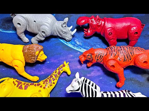 Transforming Animals & Dinosaurs Eggs - Lion, Tiger, Elephant, Hippo, Zebra, Giraffe, Leopard