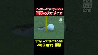 【マスターズスーパーショット】2005年マスターズ　タイガーウッズ16番伝説のチップイン #shorts #ゴルフ#Masters