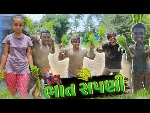 ભાત રોપણી🌾|| Bhatt Ropni🌾|| P.N Comedy New Video || Gujarati Comedy Video ||