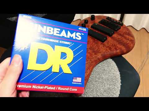 DR SUNBEAMS on FRETLESS BASS