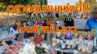 ตลาดอาหารอีสานพื้นบ้าน อาหารป่า ปลาแม่น้ำมูล หาชมยากในเมืองศรีสะเกษ!!