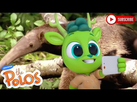 Chester And His Antlers | Adventure Learning | MarcoPolo World School | Learn At Home