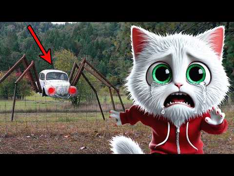 SOMETHING On a FIELD | Don't Watch at NIGHT | AI CAT STORY