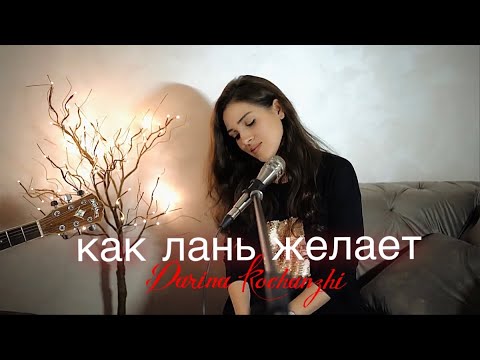 Как Лань Желает | Дарина Кочанжи (Acoustic)