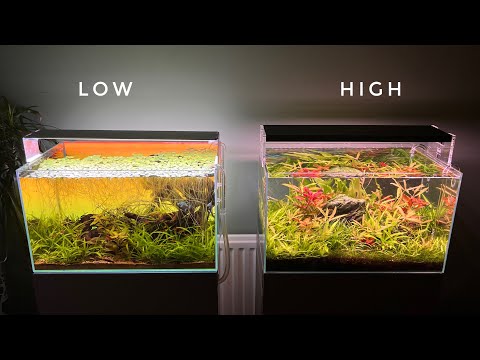 LOW v HIGH TECH AQUARIUMS (4K)