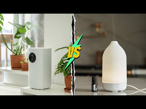 Humidifier Vs Diffuser: Which Works Better?