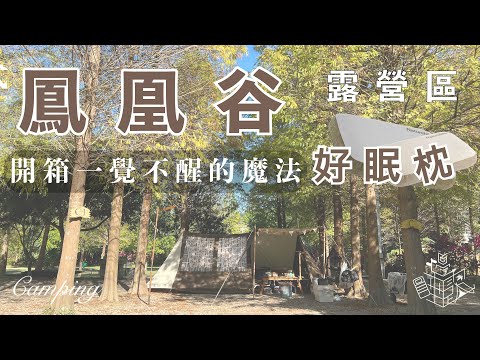 冬天露營保暖大作戰！暖爐、柴爐、新枕頭｜落羽松營區｜鳳凰谷露營區｜營區導覽｜苗栗營地｜今晚睡露邊｜CAMPING VLOG