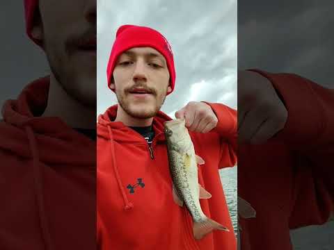 pregaming these bass #fishing #fishingvideo #bassfishing