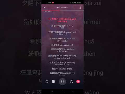 Nhất mạt đào hoa - Trân Ca || 一抹桃花 [珍哥] Karaoke Pinyin