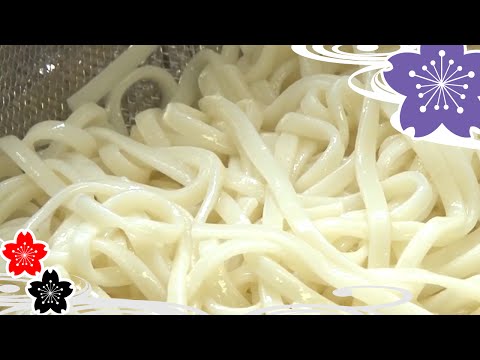 How to boil Udon✿Japanese Food Recipes TV