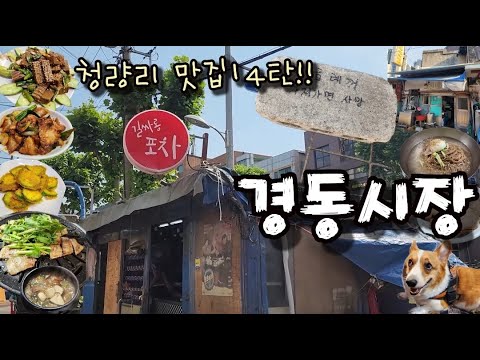 청량리 경동시장 니가 그렇게 싸움을 잘해?? 옥땅으로 따라와~!! (Feat. 청량리맛집 경동시장맛집)