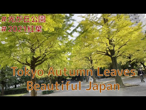 [Vlog] 2021 Autumn Leaves in Japan-Hikarigaoka Park, Tokyo-