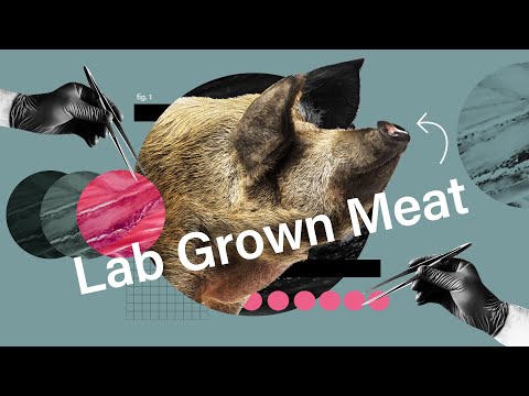 Rethinking the future of lab-grown meat