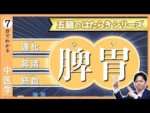 五臓六腑の【脾胃】｜イメージでわかる「五臓」のはたらき【9割が知らない中医学】