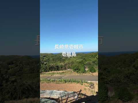 長崎県壱岐市 壱岐島