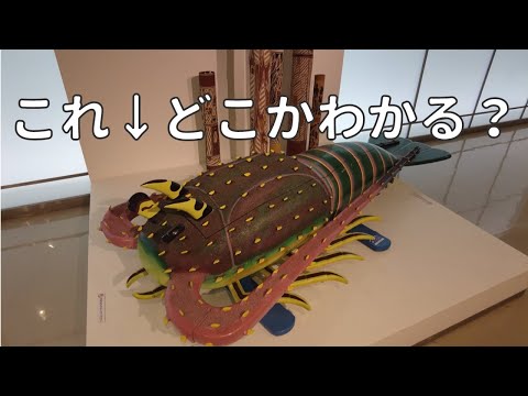 【大阪ひとり旅】万博公園内の”推し博物館”へ行くために大阪へ！【ボツ動画】