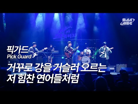 픽가드(Pick Guard) - 거꾸로 강을 거슬러 오르는 저 힘찬 연어들처럼(COVER) [241212 마이스테이지 미방]