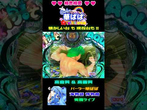 💪いくぜ～💪🤢突サム演出🤢✨7テン✨🐬海物語 AQUA🐬【 パーラー華ぱぱ・海物語 博物館 】ショート動画 #shorts