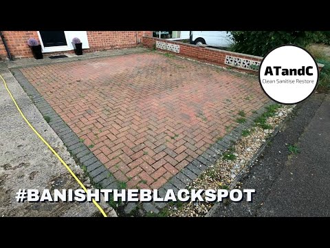 Satisfying driveway clean & resanding #banishtheblackspot