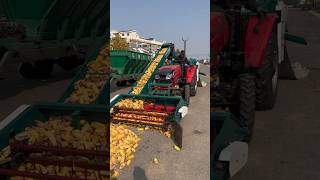 #shorts#agriculture #farming2024 #farminglife #corn#trending #growingforming #satisfying#automobile