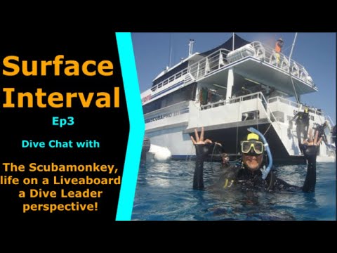 Scubamonkey AKA Marcus Joins us on Surface Interval 3, Liveaboards, a guides perspective & jellyfish