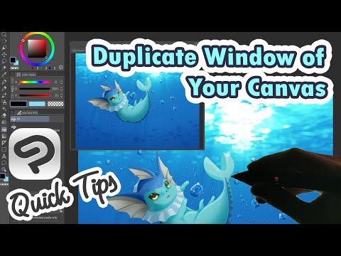 How to Make a Duplicate Window of Your Canvas in Clip Studio Paint (Multiple Windows Same Painting)