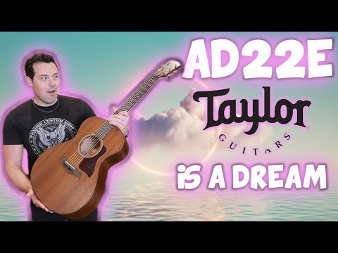 Taylor AD22e Demo