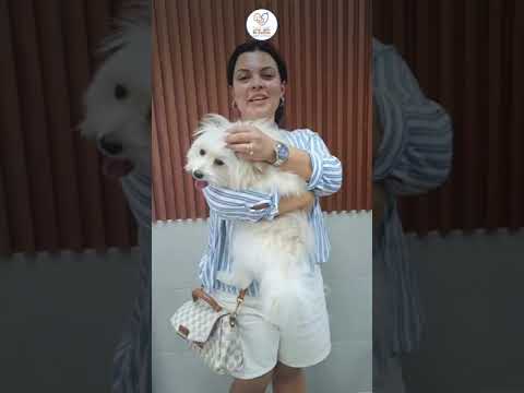 Our valued client shares her wonderful experience at Dr. Dolittle Veterinary Center