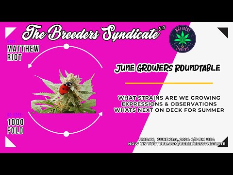 WHAT MAKES A KEEPER? /  Seeds vs elites / THE FUTURE? June Growers Roundtable S11 E10