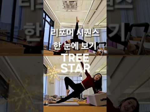 연말 리포머시퀸스 | TREE | STAR 🌟 #shotts#쇼츠 #필라테스시퀀스 #필라테스지영쌤#리포머시퀀퀸스 #오운완 #tree #star#리포머필라테스