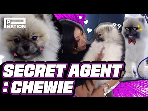 'JESSLIFE' (JessiTV) ep 8: Secret Agent Chewie