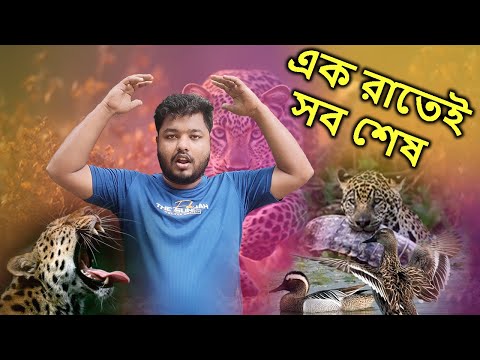 এক রাতেই সব শেষ হয়ে গেল | It was all over in one night