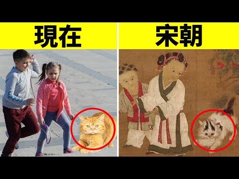 1000年前的寵物博主就給貓做美容拍寫真！擼貓是個輪迴？