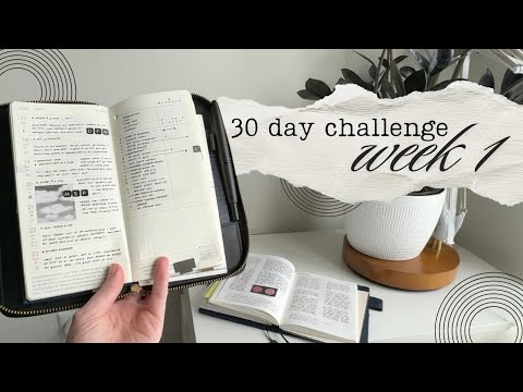 30 day planner challenge | moving back to the hobonichi weeks, a6 techo avec, july setup (01)