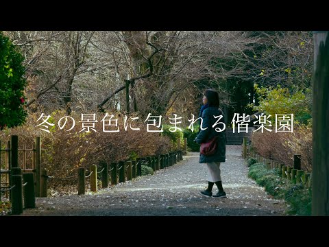 【冬の景色に包まれる偕楽園】Kairakuen surrounded by winter scenery