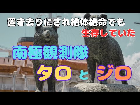 「南極観測隊タロとジロ」人と動物の命の価値とは？