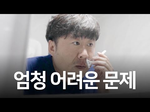 오래된 철학적 난제, 8만 년 동안 살아있는 나무가 주는 힌트 | 정원의 철학자, 케이트 콜린스