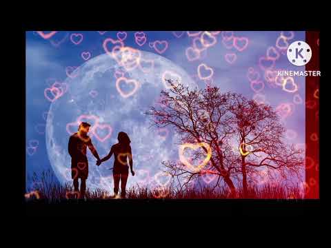 🥰New Hindi Romantic Song || Latest Bollywood Love Songs 2024💞