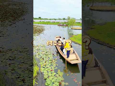 ＼何ここ!?／親子で楽しすぎ#水郷佐原あやめパーク📍千葉県香取市扇島1837-2