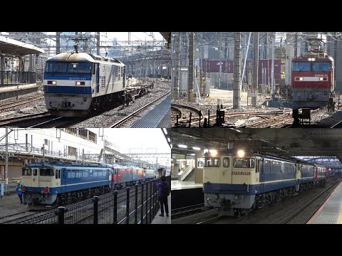 11/25/2024 Japan Railways: Freight Trains at Omiya