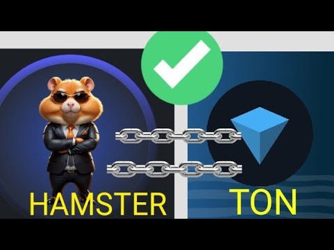 Download TON WALLET for hamster STEP BY STEP guide How to transfer hamster Kombat to ton wallet