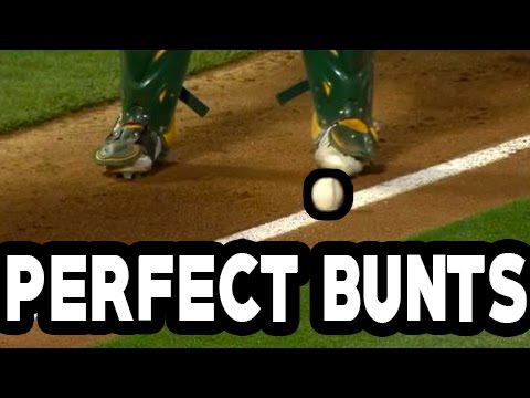 MLB: Perfect Bunts (HD)